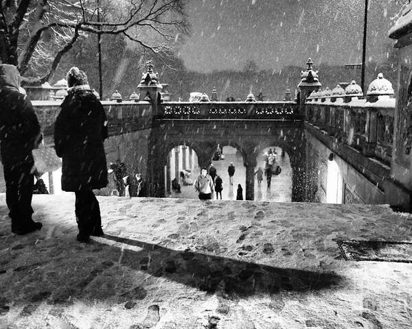 Snow Poster featuring the photograph A Snowy Night in Central Park by Steve Ember