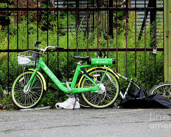 Electric-assist Bicycle Poster featuring the photograph A Welcome Splash of Lime on a Wet and Windy Day by Steve Ember