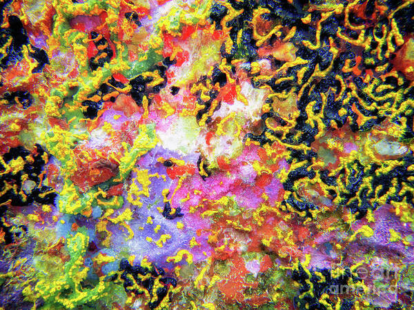 Coral Poster featuring the photograph Abstract Under the Sea by Becqi Sherman