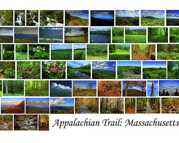 Appalachian Trail Massachusetts Poster featuring the photograph Appalachian Trail Massachusetts by Raymond Salani III