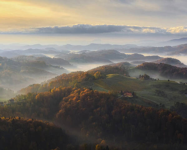 Fog Poster featuring the photograph Autumn Morning by Ales Komovec