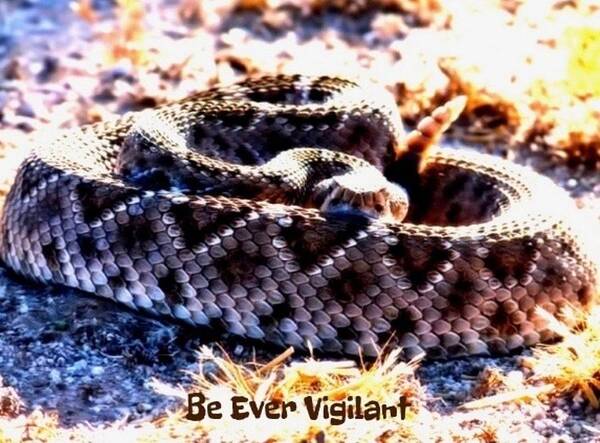 Adage Poster featuring the photograph Be Ever Vigilant 2 by Judy Kennedy