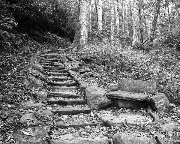 Black And White Poster featuring the photograph Black And White Stone Bench by Phil Perkins