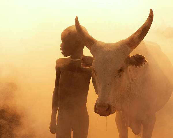 Mundari Poster featuring the photograph Boy Of Cattle by Hesham Alhumaid