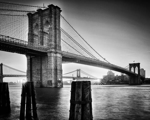 Brooklyn Bridge Poster featuring the photograph Brooklyn Bridge - Sunrise by Martin Froyda