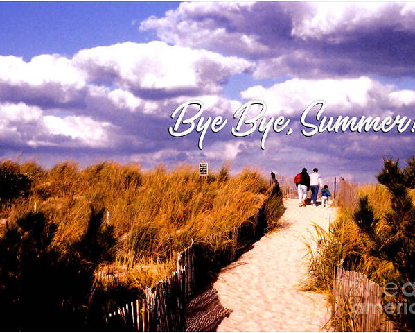  Poster featuring the photograph Bye Bye, Summer by Steve Ember