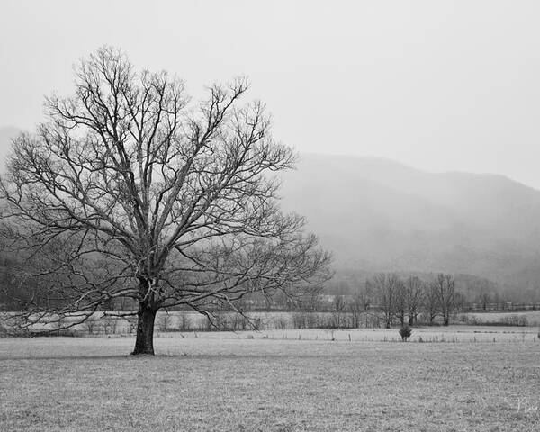 Cades Cove Poster featuring the photograph Cades Cove 1 by Nunweiler Photography