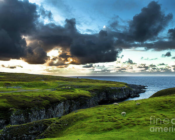 Scotland Poster featuring the photograph Canyon To Smoo Cave With Flock Of Sheep At The Twilight Atlantic Coast Near Durness In Scotland by Andreas Berthold