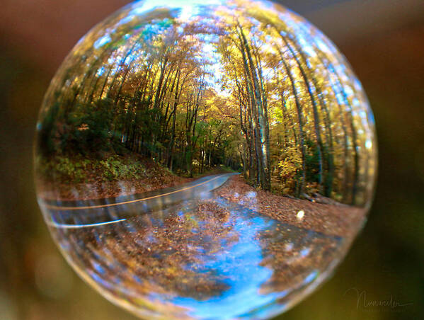 Nunweiler Poster featuring the photograph Crystal Ball Forest by Nunweiler Photography