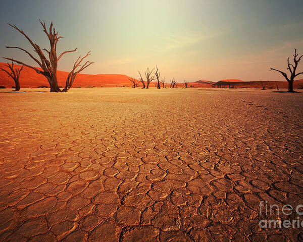 Heat Poster featuring the photograph Dead Valley In Namibia by Galyna Andrushko