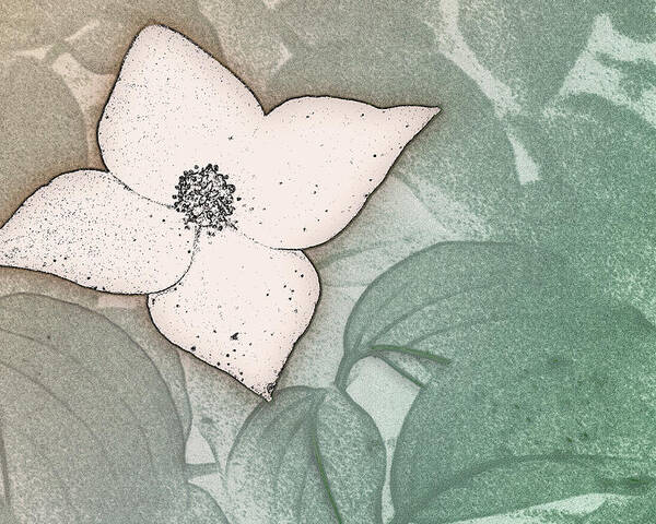 Kousa Poster featuring the digital art Dogwood Flower Stencil on Sandstone by Jason Fink
