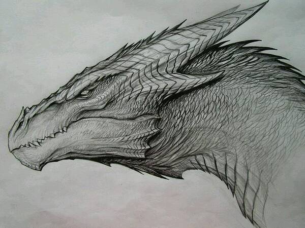 Dragon sketch drawing by Bajan Art | No. 3236