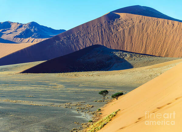 Heat Poster featuring the photograph Dunes In Sossusvlei Plato Of Namib by Vadim Petrakov