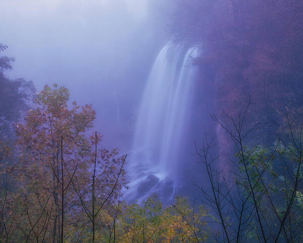 Fog Poster featuring the photograph Falling Springs Falls by Nunweiler Photography