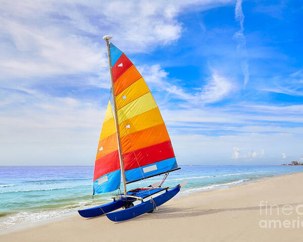 Sailboat Poster featuring the photograph Florida Fort Myers Beach Catamaran by Lunamarina