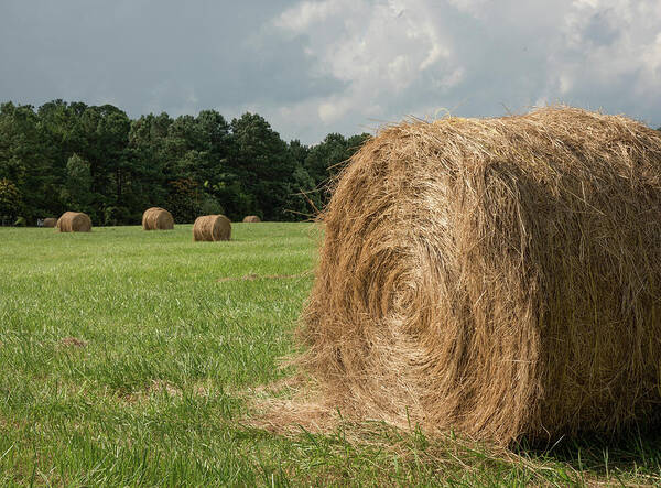Hay Bales Poster featuring the photograph Hay Bales by Minnie Gallman