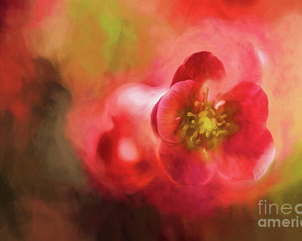 Flowering Quince Poster featuring the photograph Heart Centered Love by Mary Lou Chmura