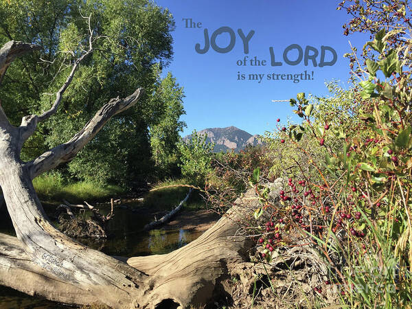  Poster featuring the mixed media Joy Lord by Lori Tondini