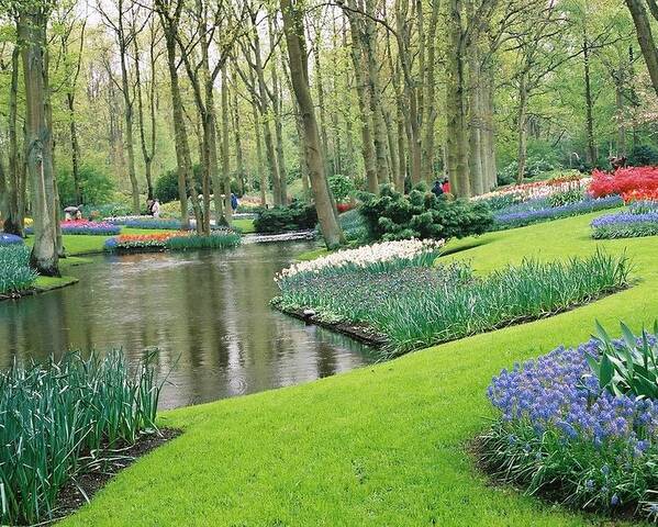  Poster featuring the photograph Keukenhof Gardens by Susie Rieple