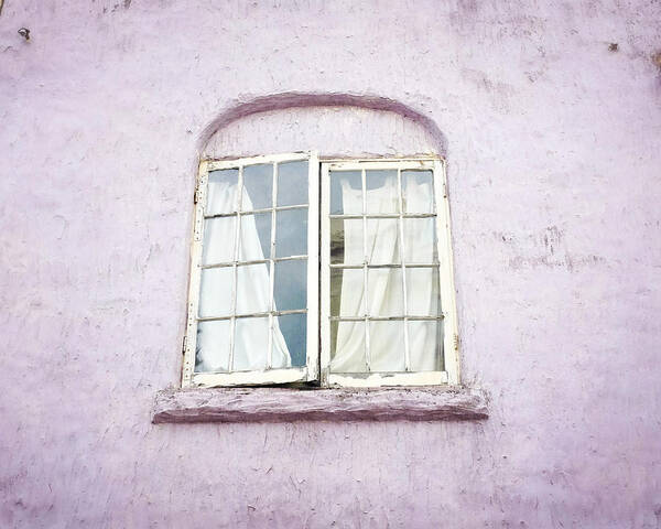 Window Poster featuring the photograph Lilac Window by Lupen Grainne