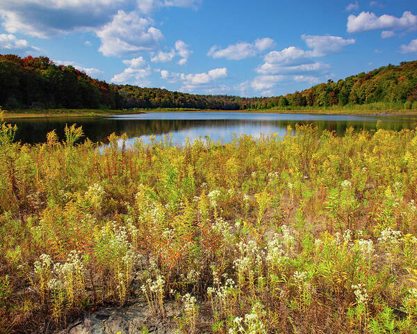 Allegheny Plateau Poster featuring the photograph Lower Woods Pond by Michael Gadomski