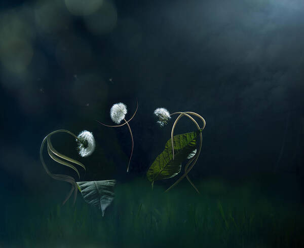  Poster featuring the photograph Moonlight Serenade... by Tatiana Gorilovsky