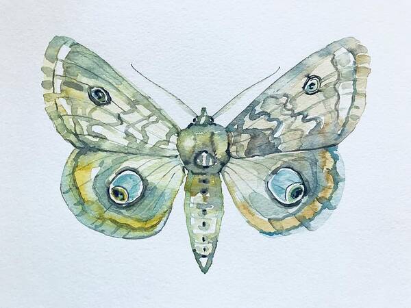 Moth Poster featuring the painting Moth by Luisa Millicent