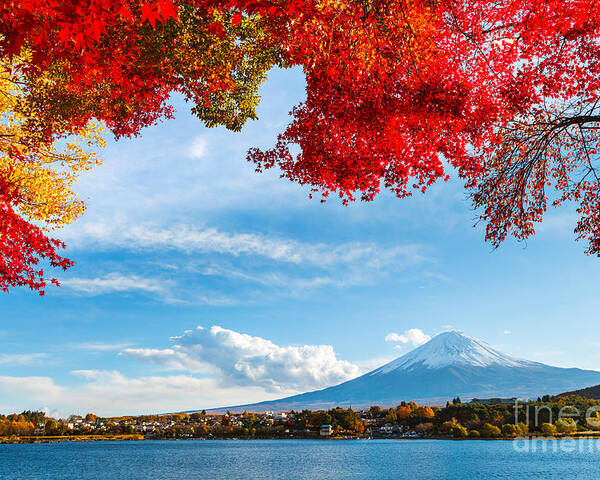 Kawaguchiko Poster featuring the photograph Mt Fuji In Autumn by Esb Professional