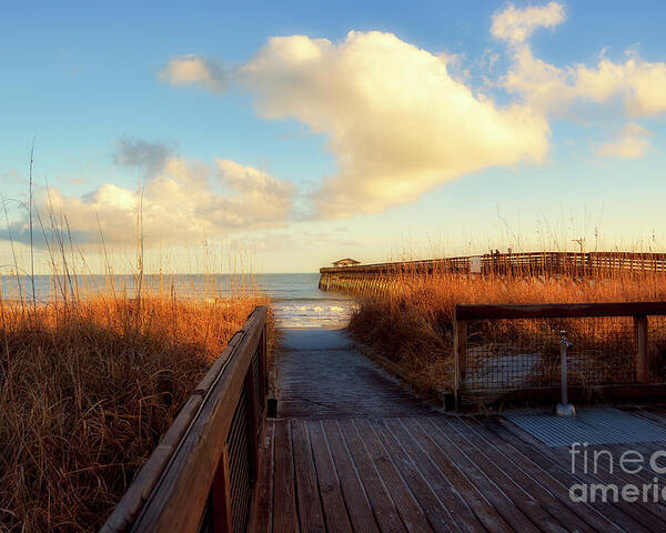 Scenic Poster featuring the photograph Myrtle Beach State Park Pier by Kathy Baccari