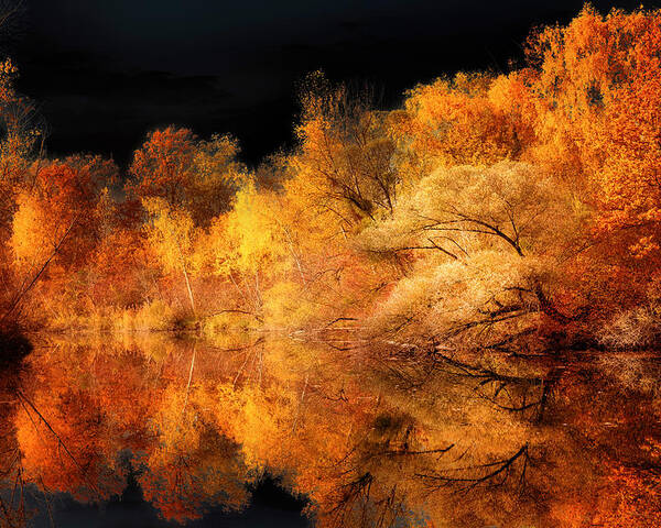 Autumn Poster featuring the photograph New Look by Philippe Sainte-Laudy