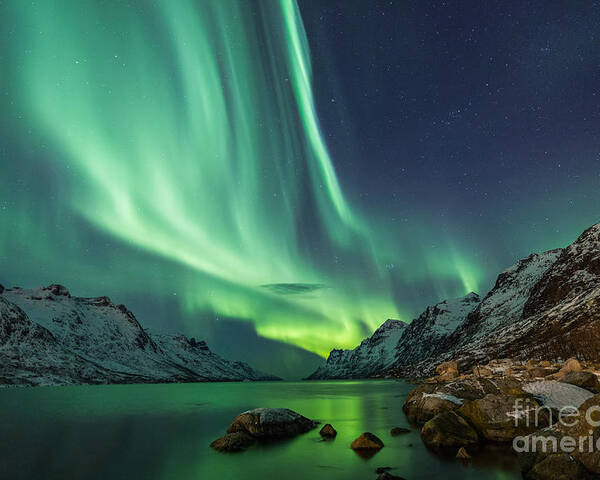 Beauty Poster featuring the photograph Northern Lights Above Waters Edge by Jamen Percy