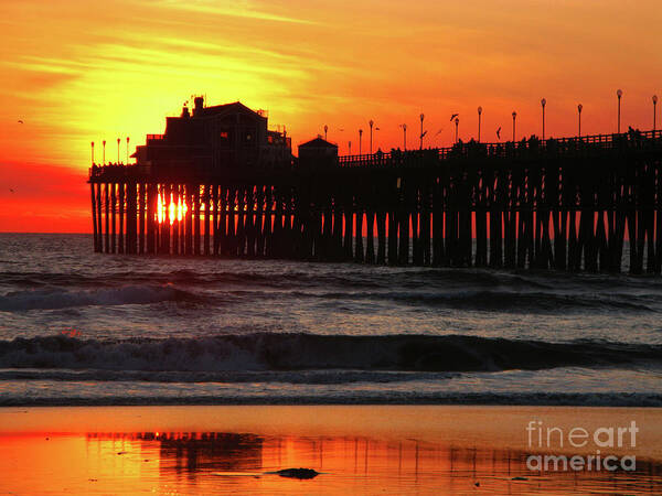 Pacific Ocean Poster featuring the photograph Pier at Sunset by Terri Brewster