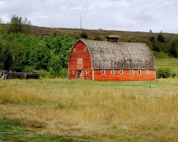 Barn Poster featuring the photograph Red Lodge MT Barn by Cathy Anderson