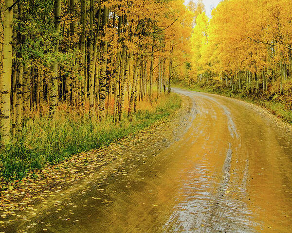 Aspens Poster featuring the photograph Road To Oz by Johnny Boyd