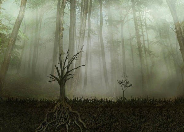 Roots Poster featuring the photograph Root 1 by Aryana Golchin