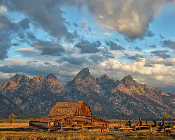 Rustic Wyoming Poster featuring the photograph Rustic Wyoming by Darren White Photography