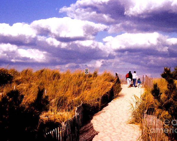 Sand Poster featuring the photograph Sand Dunes, Cape Henlopen by Steve Ember