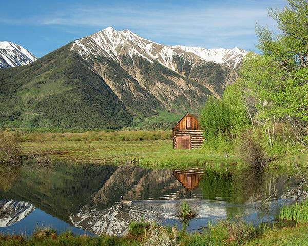 Sawatch Poster featuring the photograph Sawatch Cabin - Spring by Aaron Spong
