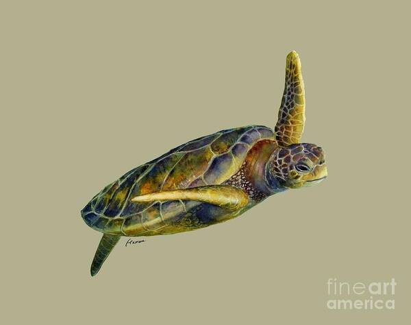Underwater Poster featuring the painting Sea Turtle 2-Solid background by Hailey E Herrera