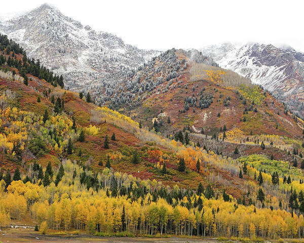 Utah Poster featuring the photograph Silver Lake Flat with Fall Colors - American Fork Canyon, Utah by Brett Pelletier