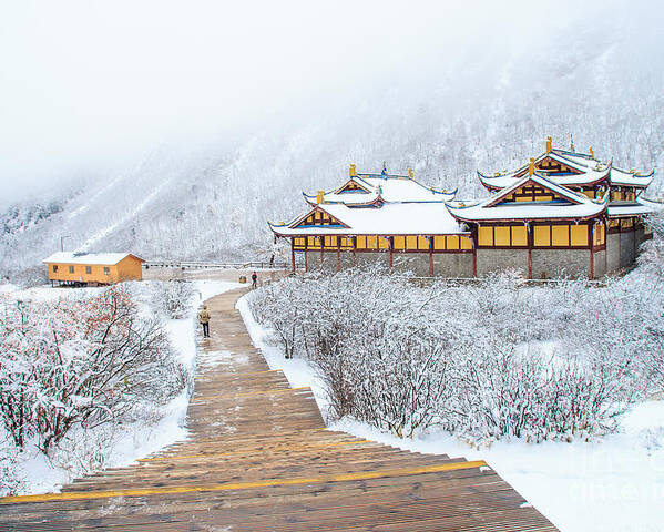 Winter Poster featuring the photograph Snow Season In China by Phraisohn Siripool