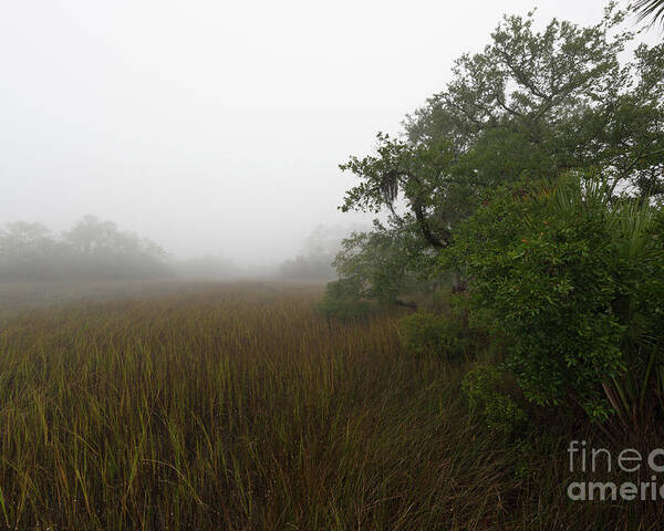 Fog Poster featuring the photograph Southern Framed Fog by Dale Powell