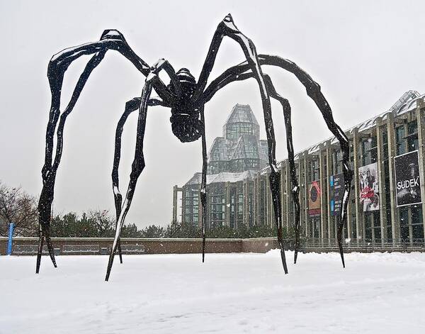Ottawa Poster featuring the photograph Spidey Sense by Mike Reilly