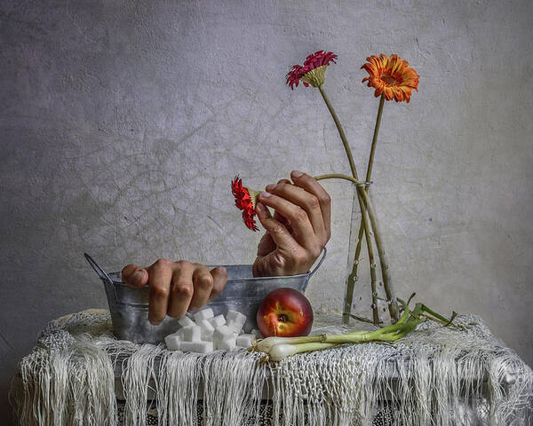 Hands Poster featuring the photograph Still Life by Haik Ahekian