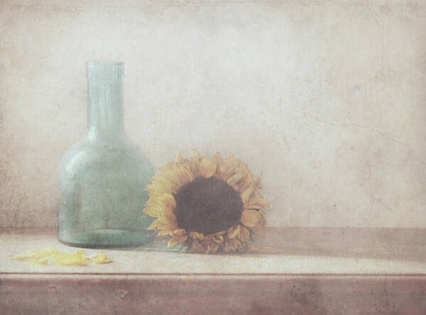 Sunflower Poster featuring the photograph Sunflower by Delphine Devos