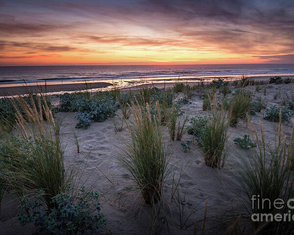Natural Landscape Poster featuring the photograph The Dunes In The Sunset Light by Hannes Cmarits