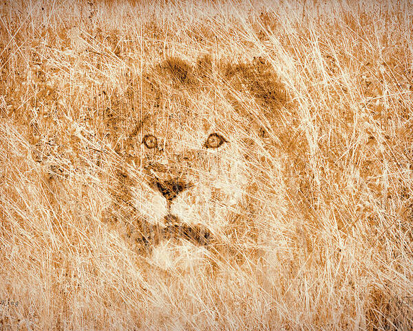 Lion Poster featuring the digital art The King by Mark Allen