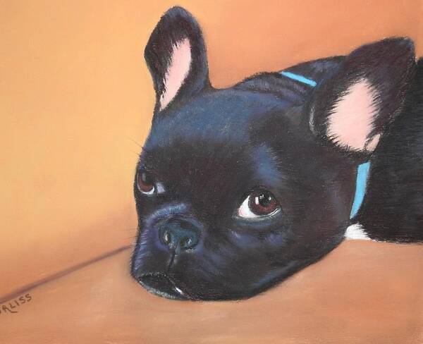 Dog Poster featuring the pastel This Is Max by Carol Corliss