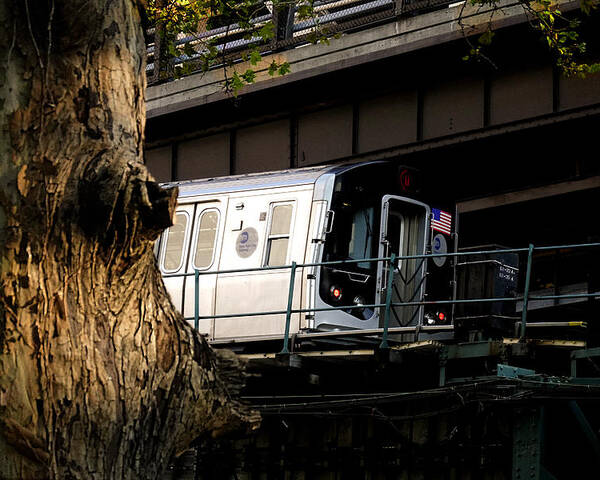 Subway Poster featuring the photograph Tree and Train by Steve Ember