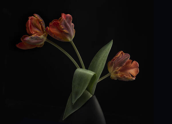 Flower Poster featuring the photograph Tulips In Vase by Lotte Grønkjær